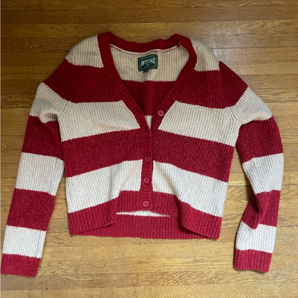 Large American Eagle Sweater - image 1